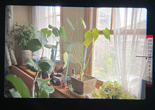 画像をギャラリービューアに読み込む, Canon AV-1 BK【完動品】明るい広角レンズ&ストラップ付き❗️初めて・初心者の方におすすめ一眼レフフィルムカメラ