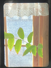 Load image into Gallery viewer, OLYMPUS PEN F ホワイト🤍【完動品】ハーフ一眼レフカメラ・ARTISAN&ARTISTホワイトストラップオプション有り