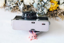 画像をギャラリービューアに読み込む, CHAJKA-2 / チャイカ2 ロシアのハーフカメラ【希少❗️完動品】