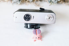 画像をギャラリービューアに読み込む, CHAJKA-2 / チャイカ2 ロシアのハーフカメラ【希少❗️完動品】