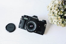 画像をギャラリービューアに読み込む, Canon AE-1PROGRAM【完動品】