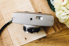 Load image into Gallery viewer, OLYMPUS TRIP35 天然木🌳【完動品】