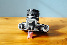 画像をギャラリービューアに読み込む, Nikon FE (SV)【完動品】35mmF2.8Lens