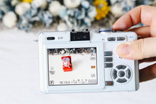 Load image into Gallery viewer, OLYMPUS PEN E-PL1【完動品】【実写済み❗️】▪️オールドコンデジ▪️デジタル一眼ミラーレスカメラ