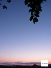 画像をギャラリービューアに読み込む, Leica D-LUX3【完動品】▪️オールドコンデジ▪️デジタルカメラ