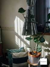 Load image into Gallery viewer, Leica C-LUX1【完動品】【実写済み❗️】▪️オールドコンデジ▪️デジタルカメラ