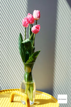 画像をギャラリービューアに読み込む, Canon IXY DIGITAL 930IS【完動品】【実写済み❗️】【美品✨】