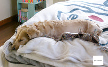 画像をギャラリービューアに読み込む, Panasonic LUMIX DMC-LC33 BK【希少❗️】【完動品】ライカレンズ搭載❗️▪️CCDカメラ▪️オールドコンデジ▪️デジタルカメラ