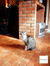 画像をギャラリービューアに読み込む, Panasonic LUMIX DMC-LC33【希少❗️】【完動品】ライカレンズ搭載❗️▪️CCDカメラ▪️オールドコンデジ▪️デジタルカメラ