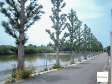 画像をギャラリービューアに読み込む, Panasonic D-snap SV-AS10【完動品】【実写済み❗️】▪️オールドコンデジ▪️デジタルカメラ