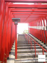 画像をギャラリービューアに読み込む, Panasonic D-snap SV-AS10【完動品】【実写済み❗️】▪️オールドコンデジ▪️デジタルカメラ