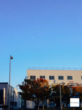 画像をギャラリービューアに読み込む, Panasonic LUMIX FX7▪️デジタルカメラ▪️オールドコンデジ【完動品】【実写済み❗️】