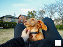 画像をギャラリービューアに読み込む, Panasonic Lumix DMC-LX1 ライカレンズ搭載❗️【完動品】【美品❗️】▪️オールドコンデジ▪️デジタルカメラ