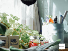 画像をギャラリービューアに読み込む, Panasonic LUMIX DMC-SZ10 ブラック【完動品】【希少✨】▪️オールドコンデジ▪️デジタルカメラ