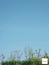 画像をギャラリービューアに読み込む, Panasonic LUMIX DMC-FH-10(PK)【完動品】