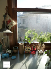 画像をギャラリービューアに読み込む, Panasonic LUMIX DMC-FS6【完動品】【実写済み❗️】ライカレンズ搭載!▪️オールドコンデジ▪️デジタルカメラ