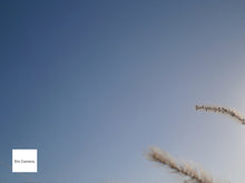 画像をギャラリービューアに読み込む, OLYMPUS VG-170【完動品】【実写済み】▪️オールドコンデジ▪️デジタルカメラ