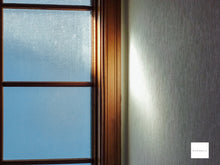 画像をギャラリービューアに読み込む, Panasonic LUMIX DMC-FS6【完動品】【実写済み❗️】ライカレンズ搭載!▪️オールドコンデジ▪️デジタルカメラ