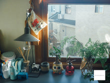 Load image into Gallery viewer, Panasonic Lumix DMC-FP1 GR🟢【希少❗️】【完動品】▪️オールドコンデジ▪️デジタルカメラ