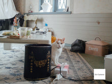 画像をギャラリービューアに読み込む, OLYMPUS STYLUS VH-410【美品✨】【完動品】【実写済み❗️】▪️オールドコンデジ▪️デジタルカメラ