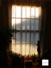 画像をギャラリービューアに読み込む, Panasonic Lumix DMC-LX1 ライカレンズ搭載❗️【完動品】状態◎▪️オールドコンデジ▪️デジタルカメラ