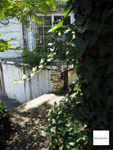 画像をギャラリービューアに読み込む, OLYMPUS E-PL8【完動品】【美品❗️】【実写済み❗️】Wifi機能あり▪️オールドコンデジ▪️デジタル一眼ミラーレスカメラ