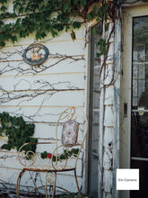 画像をギャラリービューアに読み込む, OLYMPUS E-PL8【完動品】【美品❗️】【実写済み❗️】Wifi機能あり▪️オールドコンデジ▪️デジタル一眼ミラーレスカメラ