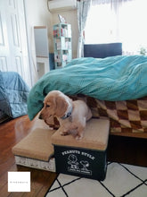 画像をギャラリービューアに読み込む, Panasonic LUMIX DMC-FX66 フローラルブルー【完動品】【実写済み❗️】ライカレンズ搭載!▪️オールドコンデジ▪️デジタルカメラ