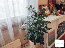 画像をギャラリービューアに読み込む, OLYMPUS XZ-1 ブラック🐦⬛|明るいF1.8レンズ搭載✨ CCDセンサーの名機 オールドコンデジ【完動品】