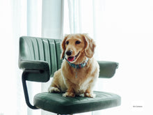 画像をギャラリービューアに読み込む, Panasonic LUMIX DMC-LX3【完動品】【実写済み❗️】状態◎▪️オールドコンデジ▪️デジタルカメラ