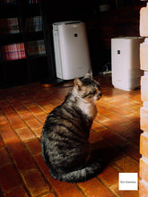 画像をギャラリービューアに読み込む, Panasonic LUMIX DMC-FS2 ライカレンズ搭載【完動品】▪️オールドコンデジ▪️デジタルカメラ