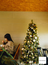 画像をギャラリービューアに読み込む, Panasonic LUMIX DMC-FS2 ライカレンズ搭載【完動品】▪️オールドコンデジ▪️デジタルカメラ