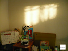 画像をギャラリービューアに読み込む, Panasonic LUMIX DMC-FS2 ライカレンズ搭載【完動品】▪️オールドコンデジ▪️デジタルカメラ