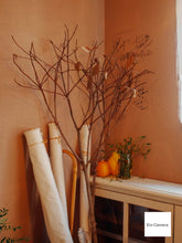 画像をギャラリービューアに読み込む, Panasonic LUMIX DMC-GM1状態◎▪️ミラーレス一眼レフカメラ▪️デジタルカメラ