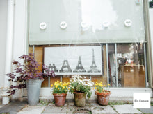 画像をギャラリービューアに読み込む, Panasonic LUMIX DMC-XS3【完動品】【実写済み❗️】大人ブラウン▪️オールドコンデジ▪️デジタルカメラ