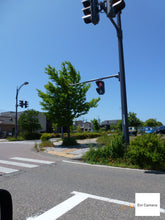 画像をギャラリービューアに読み込む, Panasonic LUMIX TZ20【完動品】【実写済み!】▪️オールドコンデジ▪️デジタルカメラ