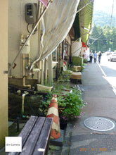 画像をギャラリービューアに読み込む, Panasonic LUMIX TZ20【完動品】【実写済み!】▪️オールドコンデジ▪️デジタルカメラ