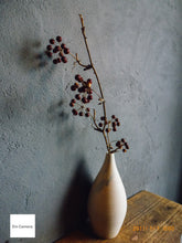 画像をギャラリービューアに読み込む, Panasonic LUMIX TZ20【完動品】【実写済み!】▪️オールドコンデジ▪️デジタルカメラ