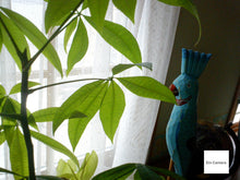 画像をギャラリービューアに読み込む, Panasonic D-snap SV-AS10(OR)【完動品】【実写済み❗️】▪️オールドコンデジ▪️デジタルカメラ