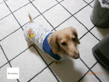 画像をギャラリービューアに読み込む, OLYMPUS STYLUS VH-410【美品✨】【完動品】【実写済み❗️】▪️オールドコンデジ▪️デジタルカメラ