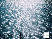 画像をギャラリービューアに読み込む, OLYMPUS μ-15 DIGITAL【完動品】【実写済み❗️】状態◎▪️オールドコンデジ▪️デジタルカメラ