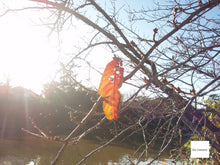 画像をギャラリービューアに読み込む, OLYMPUS VG-110【完動品】状態⭕️▪️オールドコンデジ▪️デジタルカメラ