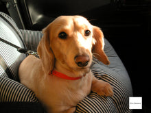 画像をギャラリービューアに読み込む, FUJIFILM FinePix V10 オレンジ【完動品/美品/希少】昭和ゲーム搭載📸✨オールドコンデジ