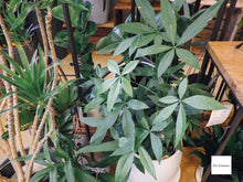 Load image into Gallery viewer, RICOH WG-7❗️SDカード対応 アウトドアデジタルカメラ【美品✨完動品❗️】