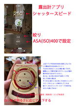 画像をギャラリービューアに読み込む, Zeiss Ikon Ikophot アンティーク露出計【完動品】