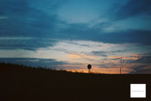 画像をギャラリービューアに読み込む, OLYMPUS XA【完動品】