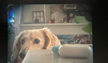 画像をギャラリービューアに読み込む, KYOCERA SAMURAI x3.0【完動品】【レア❗️】ハーフカメラ