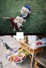 画像をギャラリービューアに読み込む, OLYMPUS Zuiko Auto Zoom 50-90mmF3.5【完動品】OLYMPUS PEN-F、FT、FV用に❗️