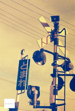 画像をギャラリービューアに読み込む, Redscale XR ASA(ISO) 50–200(35mmフィルム) カラーネガフィルム 36枚撮り 1本売り【期限内】