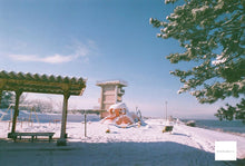 画像をギャラリービューアに読み込む, Nikon Ai 24mmF2.8【完動品】【実写済み❗️】Fマウント